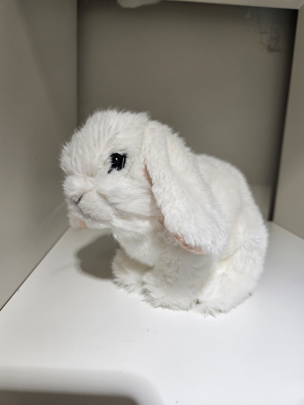 White Anna Club Plush Lop-Eared Bunny Plush Toy -
